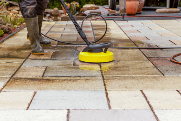 Animal Enclosure Cleaning in Albemarle, NC